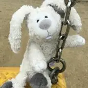 まろん