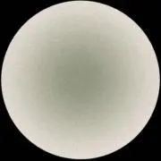 rn
