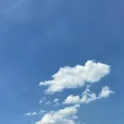 リッカの画像
