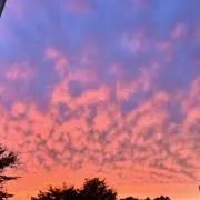 ニコニコ