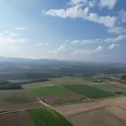 MHの画像