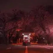 とまと※年度末断捨離中