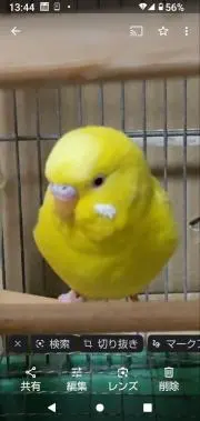 chobeoの画像