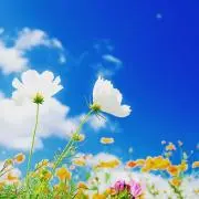 四姉妹ママ
