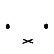 N(プロフ必読)