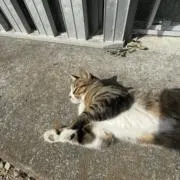 えきてぃけ