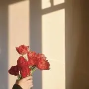 aの画像