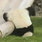 まる