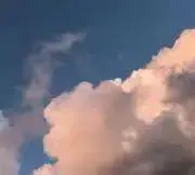 りぃの画像
