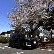 yzrの画像