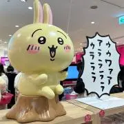 ポンちゃんの画像