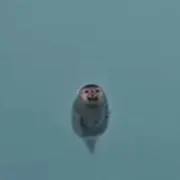 七番房の画像