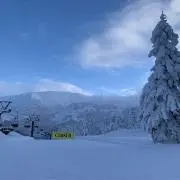ポンタ