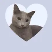 るんるんの画像