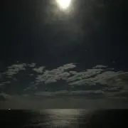 はやたん