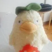 アラレ
