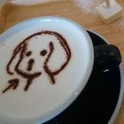maruの画像