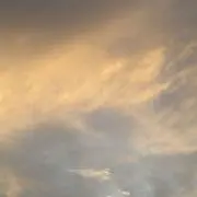 なーさんの画像