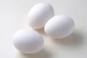 tamagoの画像
