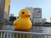 敦