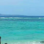 アポロ