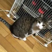 ひさの画像