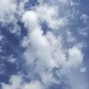 Thomas購入前コメント下さい在庫確認