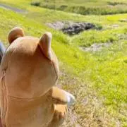 hiryuuの画像
