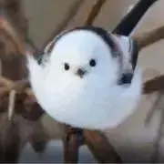 はゆの画像