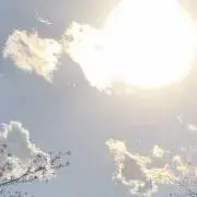 YMU