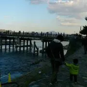 そうちんまま