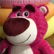 エコの画像