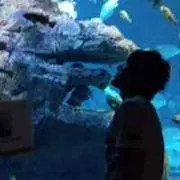 ゆかちん