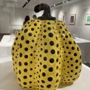 atsh1031の画像