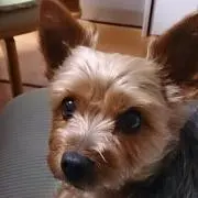 きょうた