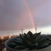 じゅ。 ♡プロフ必読♡