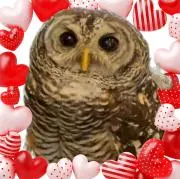 しろたんリハビリ中の画像