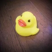 すばらD