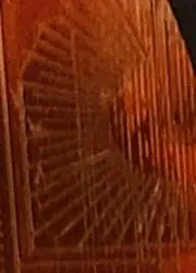 ※44※の画像