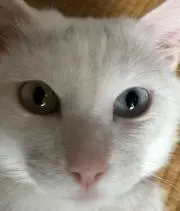 benjaminfの画像