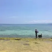 ぷみーの画像