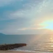 なつの画像
