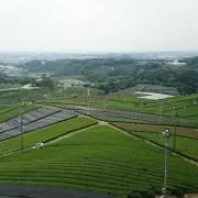 断捨離中の画像