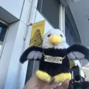 keikoの画像