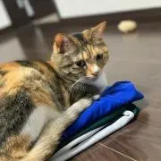yukitty♡♡
