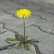 ○まるみ〇
