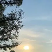 HAMA