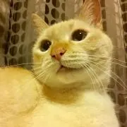 えつ