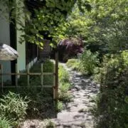 ヤーの画像