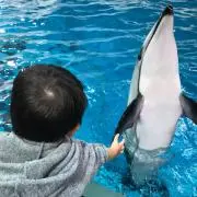 そうちゃんママの画像